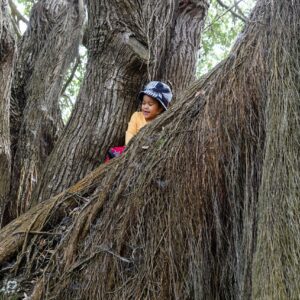 Young child in tree