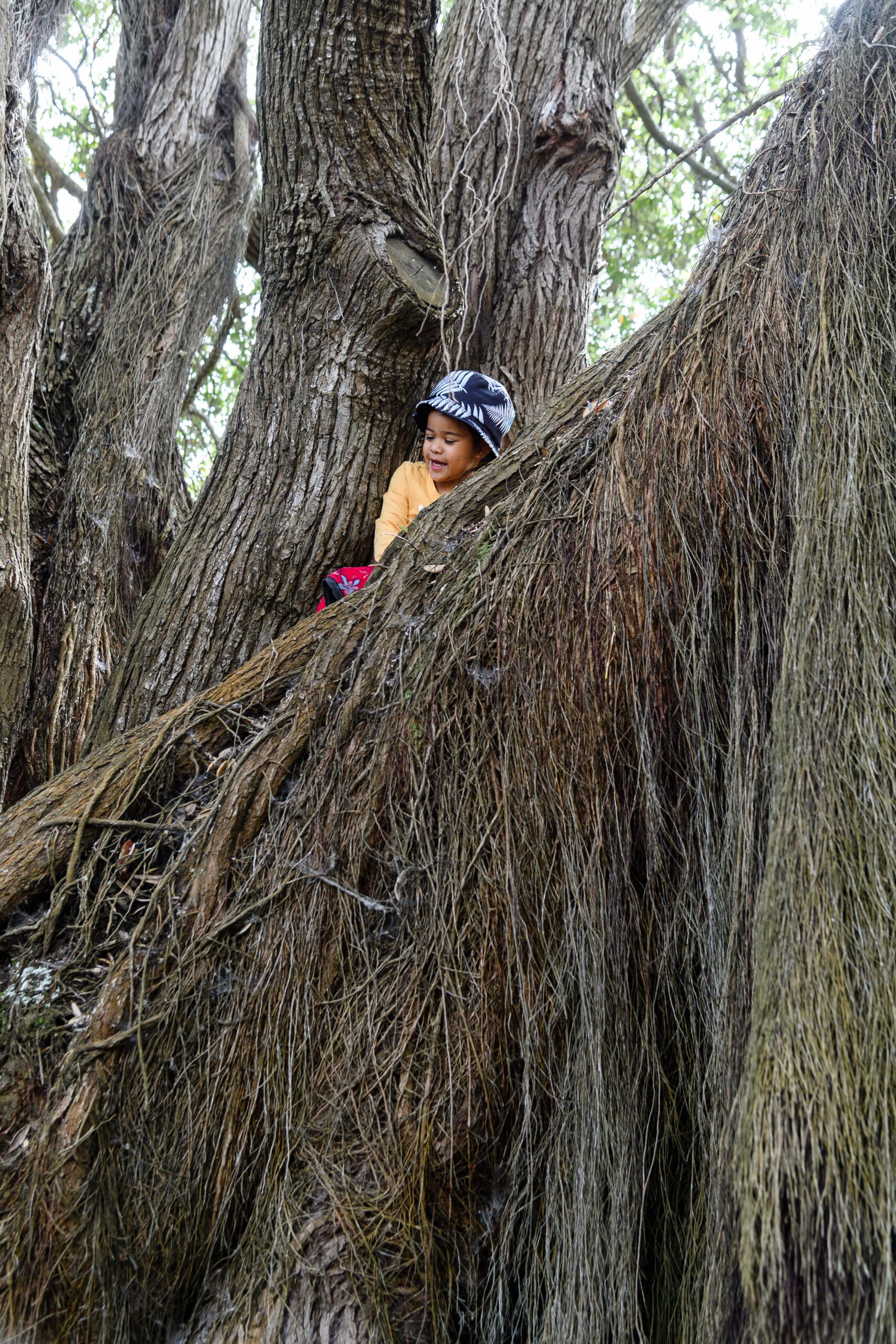 Young child in tree