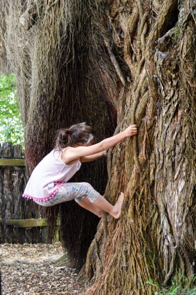 Young girl climbing tree