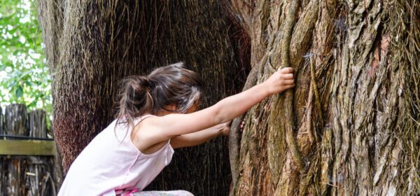 Young girl climbing tree
