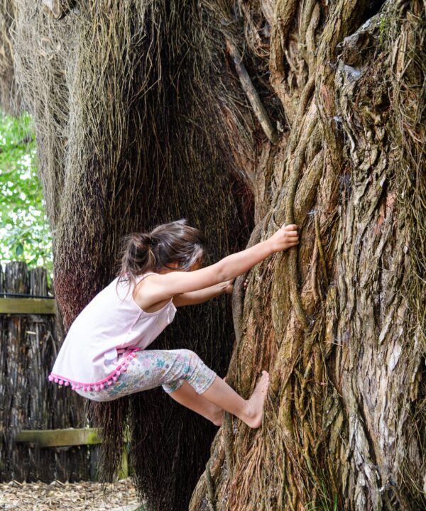 Young girl climbing tree